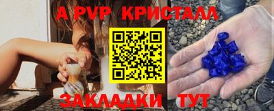 сатива Хасавюрт