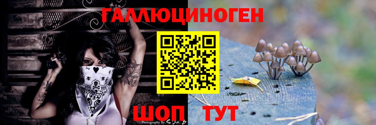 Горячий Ключ  Псилоцибиновые грибы Psilocybine cubensis  Псилоцибиновые грибы Psilocybe  Вход с VPN 